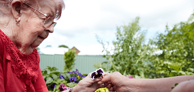 Residential Aged Care